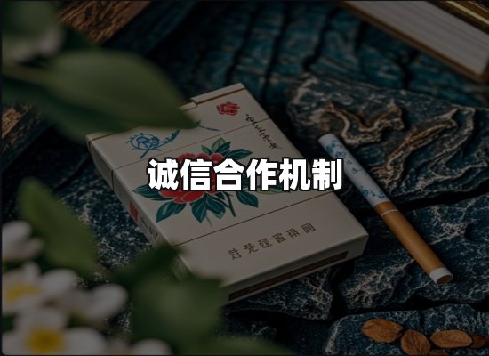 专业优势